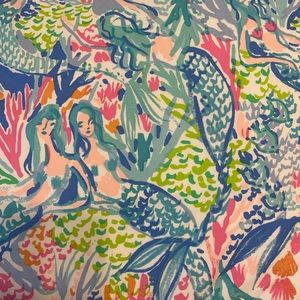 EUC * Pottery Barn Kids / Lily Pulitzer Bedding * Full/Queen Duvet & 2 Shams